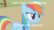 Rainbow Dash determined S1E13