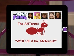 0ANTernet userbox