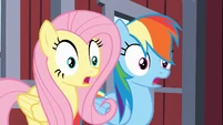 Fluttershy and Rainbow Dash gasp S03E09