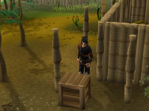 Pirate's Treasure