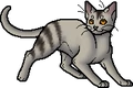 Plumwillow.apprentice.alt