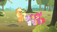 Applejack "Cutie Mark Crusaders" S1E18