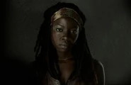 Michonne (TV Series)