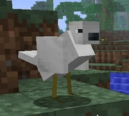 White Bird