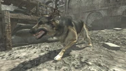 Dog WaW