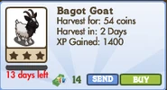 Bagot Goat Market Info (January 2012)