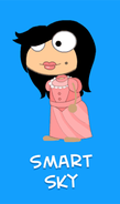 02 smart sky