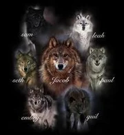 Werewolfs