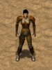 FoT Jo ingame