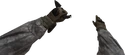 Rappel Knife MW2