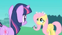 Fluttershy Mice S1E26