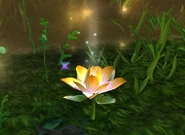 Golden Lotus
