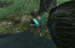 Seeking Your Roots