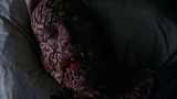 Russel Healing 5x2