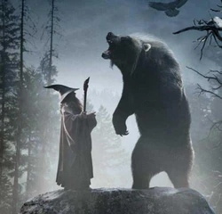 The-hobbit-gandalf-and-Beorn