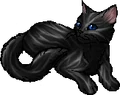 Aspentail.star.png