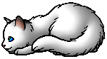 Snowfur.kit
