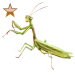 Item preyingmantis bronze 01
