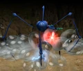 Caustic Dweevil attack