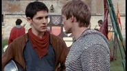 Merlin1348
