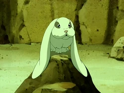 Rabbit