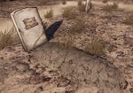 Fry grave