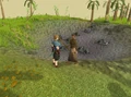 Tamayu Location.png