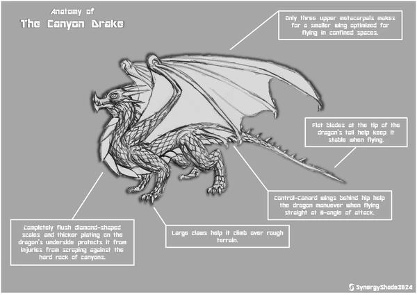 CanyonDrakeA
