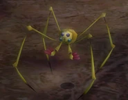 38anodedweevil