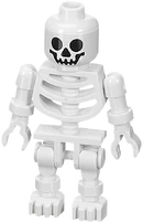 Skeleton