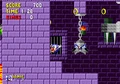 Why there's so many bats