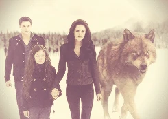 1 breaking dawn part 2