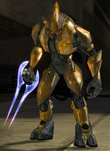 Zealot elite 1