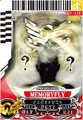 MemoryFly card