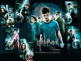 Potter 2
