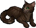 Oakheart.star.alt