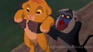 Rafiki and Simba