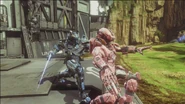 EOD and Enforcer