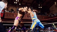 Raw 5-17-93 1