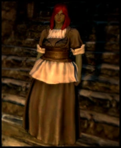 SetOfServantsGarb