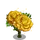 Yellow Rose Tree-icon
