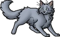 Bluestar.apprentice