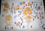 431496 480070992057440 2016817776 n