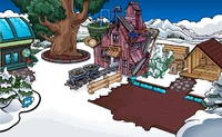 Mine Shack 2010-now