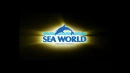 Sea world during commercial