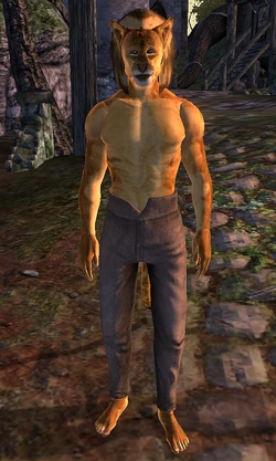J'zidzo (Mania)