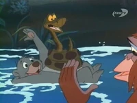 Baloo&Kaa