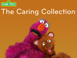 TheCaringCollection