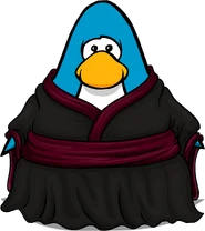 Ink Ceremony Robe from a Player Card