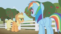 Rainbow Dash accused of spying by Applejack S1E3